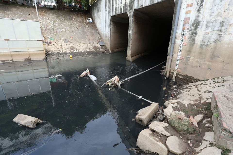 Cá chết nổi trên sông Tô Lịch sau khi dừng nhận nước từ Hồ Tây - 6 Cá chết nổi trên sông Tô Lịch sau khi dừng nhận nước từ Hồ Tây - 6