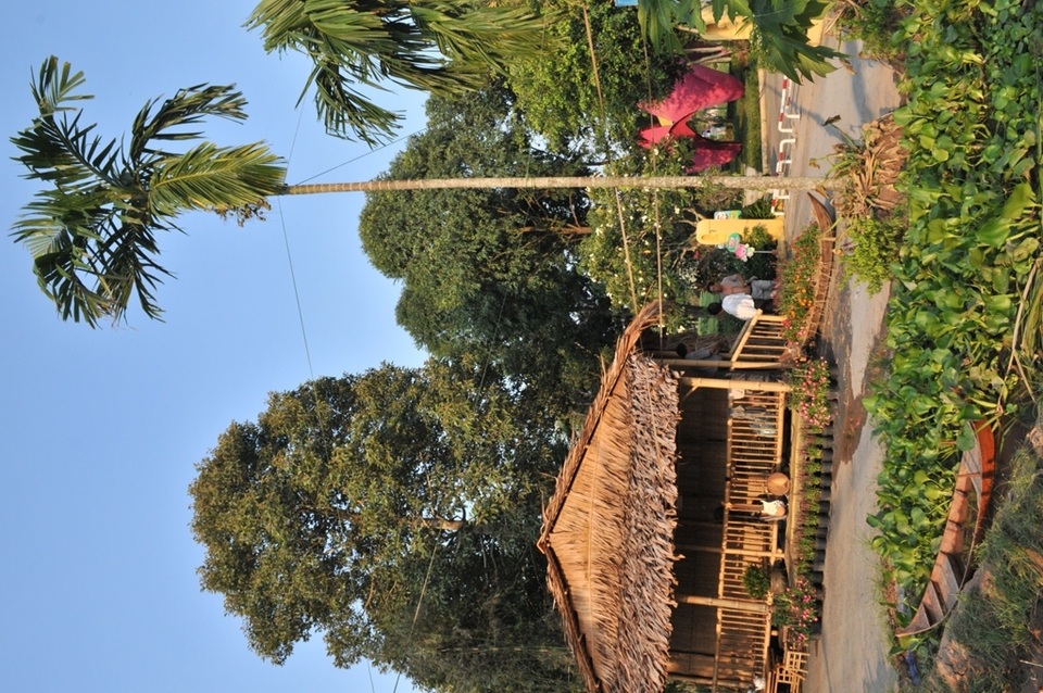 Thưởng ngoạn cảnh quê bình dị ngay giữa phố thị Đồng Tháp - 10