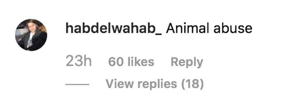 Mặc bikini cưỡi ngựa dưới biển, nữ blogger nóng bỏng bị “mắng mỏ” không thương tiếc - 2 Mặc bikini cưỡi ngựa dưới biển, nữ blogger nóng bỏng bị “mắng mỏ” không thương tiếc - 2