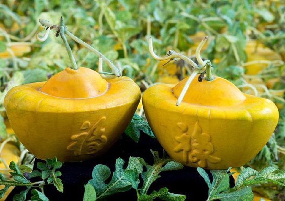 Những loại quả có hình dáng “kỳ quặc” nhất thế giới, Việt Nam cũng góp mặt - 8 Những loại quả có hình dáng “kỳ quặc” nhất thế giới, Việt Nam cũng góp mặt - 8