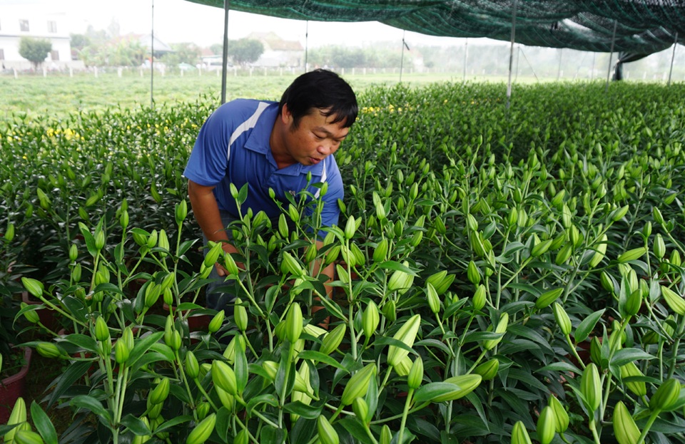 Bài 2 : Phát triển đảng viên trẻ ở nông thôn - Khó, vì đâu? - 3 Bài 2 : Phát triển đảng viên trẻ ở nông thôn - Khó, vì đâu? - 3