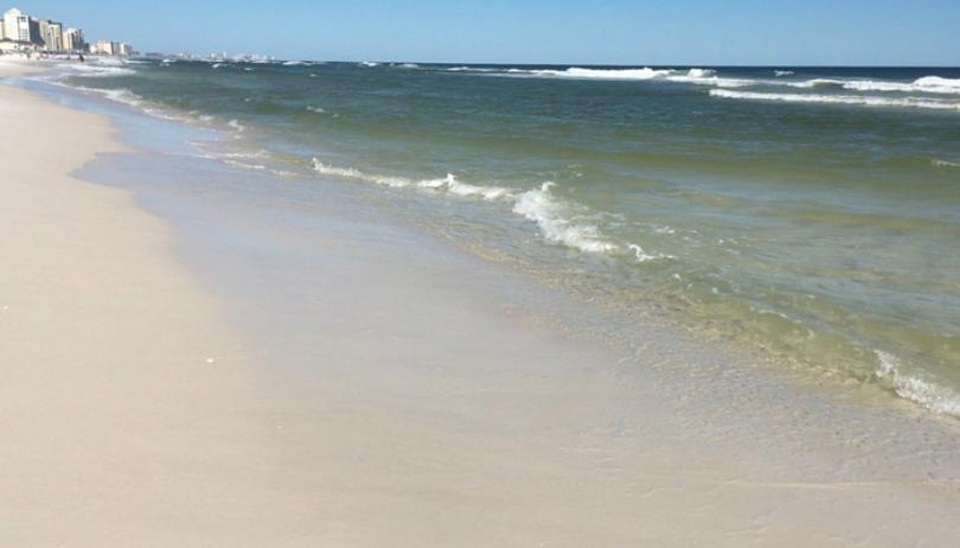 Du khách tử vong vì nhiễm vi khuẩn ăn thịt người sau khi tắm biển - 2