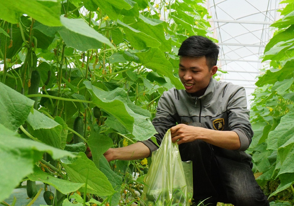 Bài 1: Tre già nhưng măng chưa mọc - 2 Bài 1: Tre già nhưng măng chưa mọc - 2