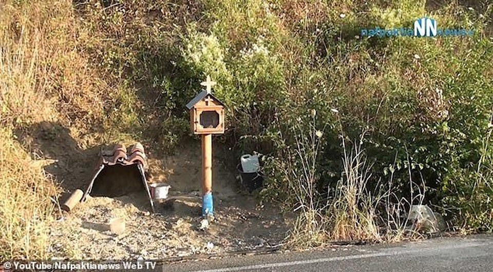 Suốt 18 tháng, chú chó trung thành chờ chủ ở nơi xảy ra tai nạn - 2