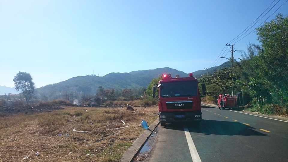 Đà Nẵng: Cháy lớn ở rừng tràm dưới chân núi Sơn Trà - 3