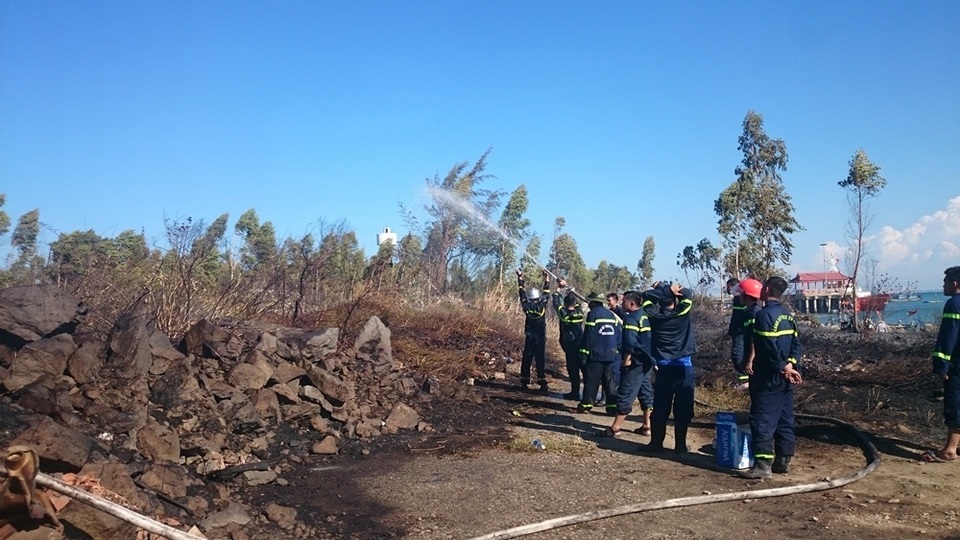 Đà Nẵng: Cháy lớn ở rừng tràm dưới chân núi Sơn Trà - 4