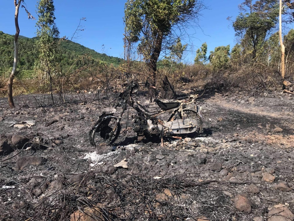 Đà Nẵng: Cháy lớn ở rừng tràm dưới chân núi Sơn Trà - 6