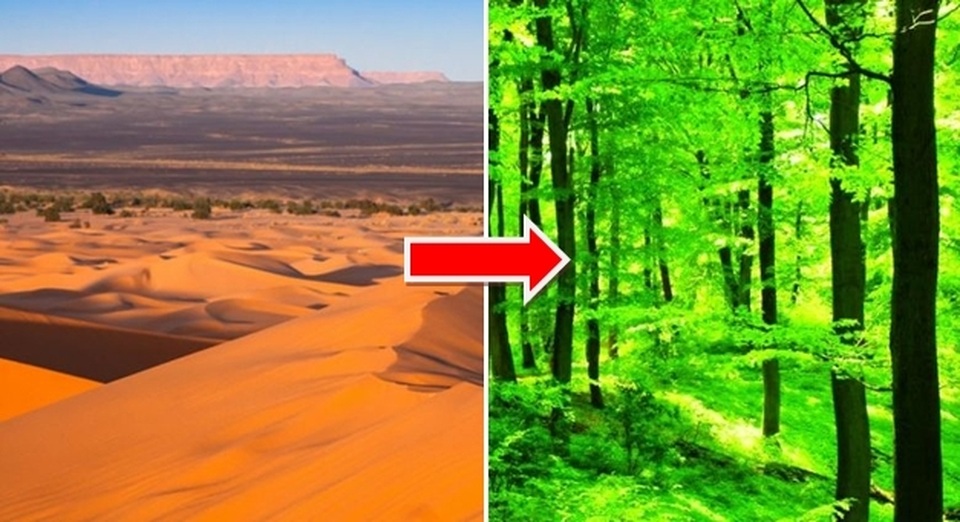 Điều gì sẽ xảy ra nếu chúng ta biến toàn bộ sa mạc Sahara thành rừng? - 3 Điều gì sẽ xảy ra nếu chúng ta biến toàn bộ sa mạc Sahara thành rừng? - 3