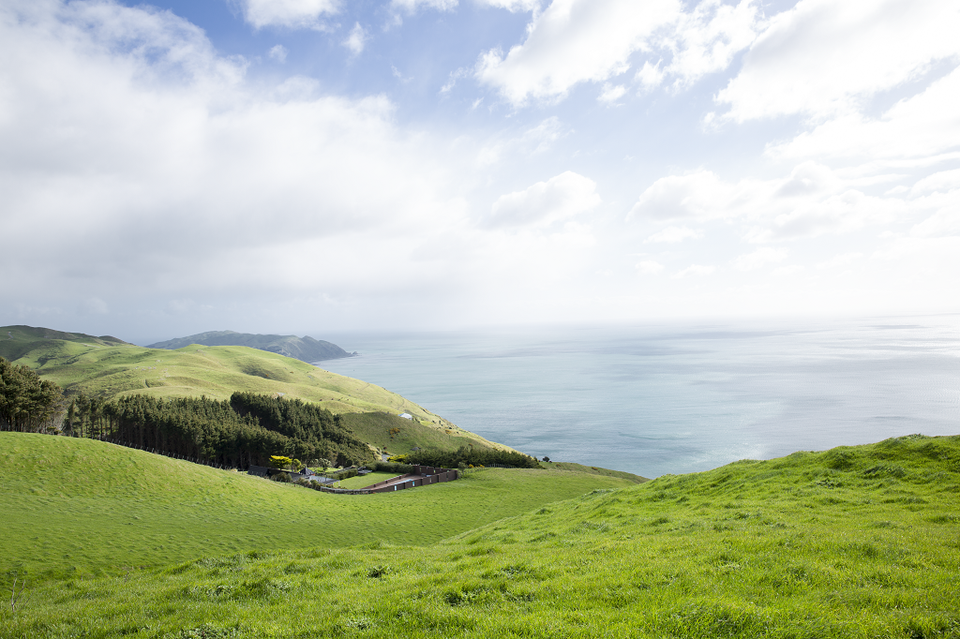 Nam sinh Việt 16 tuổi xuất sắc nhận học bổng Chính phủ New Zealand - 3