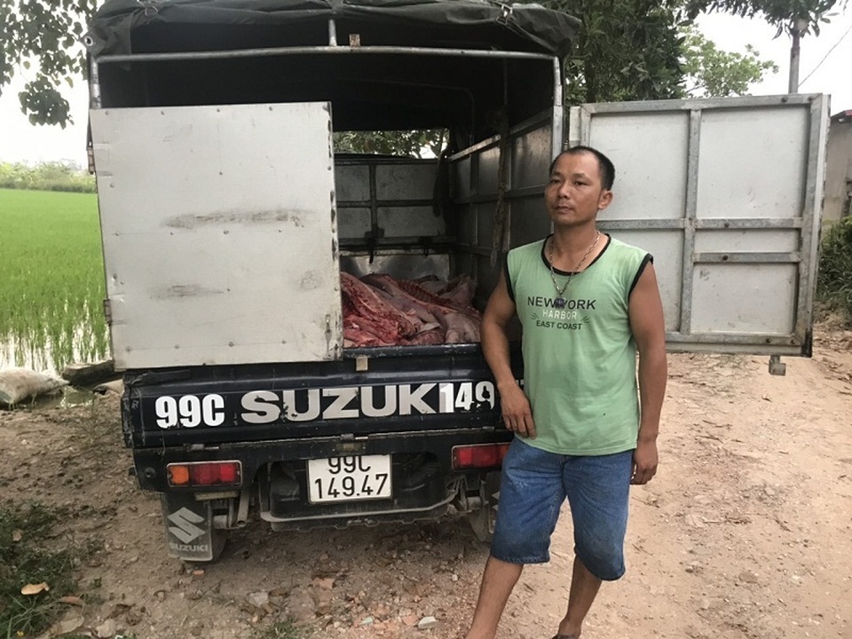 Bắt giữ xe ô tô chở gần 1 tấn thịt lợn chết đã bốc mùi - 1 Bắt giữ xe ô tô chở gần 1 tấn thịt lợn chết đã bốc mùi - 1