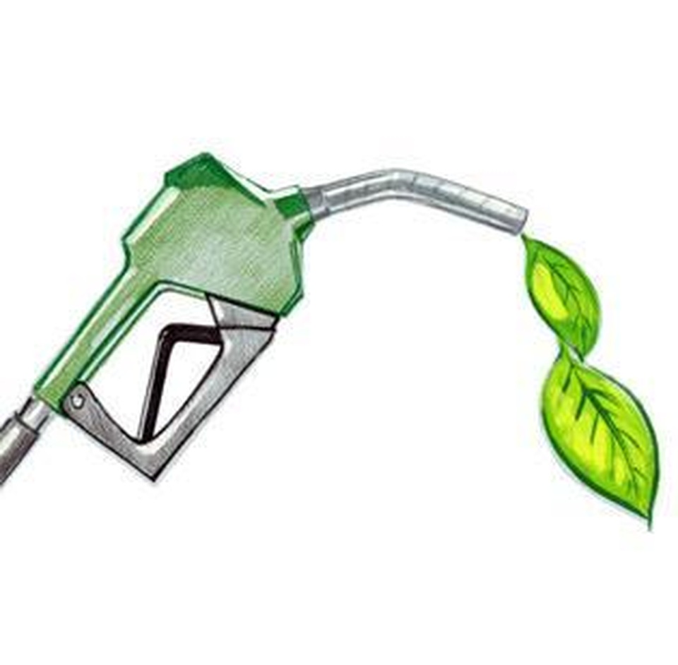 Nhiêu liệu sinh học low-carbon: Nhiều thân thiện môi trường - 1 Nhiêu liệu sinh học low-carbon: Nhiều thân thiện môi trường - 1