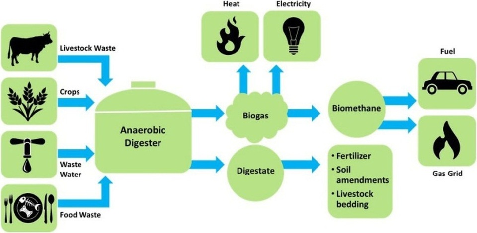 Nhiêu liệu sinh học low-carbon: Nhiều thân thiện môi trường - 2 Nhiêu liệu sinh học low-carbon: Nhiều thân thiện môi trường - 2