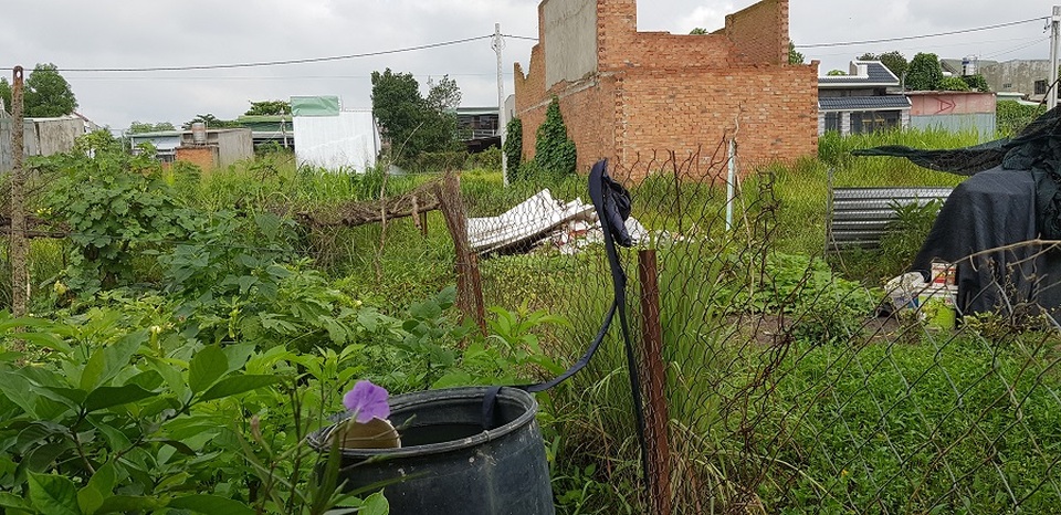 Khu dân cư đổ bệnh vì nuôi muỗi sốt xuất huyết - 2 Khu dân cư đổ bệnh vì nuôi muỗi sốt xuất huyết - 2