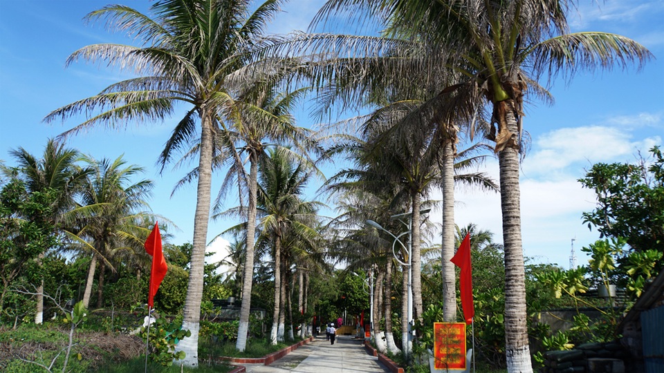 Gặp người bảo vệ dải lụa xanh của Quần đảo Trường Sa - 2 Gặp người bảo vệ dải lụa xanh của Quần đảo Trường Sa - 2