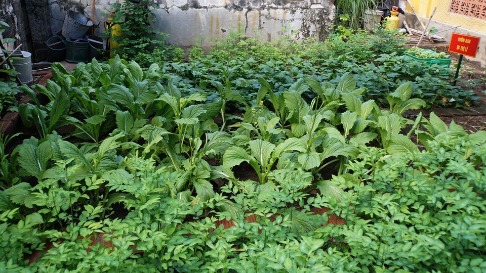 Gặp người bảo vệ dải lụa xanh của Quần đảo Trường Sa - 9 Gặp người bảo vệ dải lụa xanh của Quần đảo Trường Sa - 9