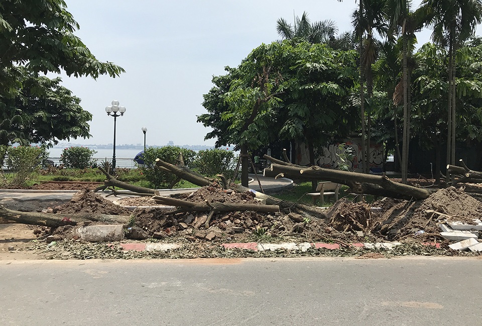 96 cây hoa sữa có át được mùi của bãi rác Nam Sơn? - 2 96 cây hoa sữa có át được mùi của bãi rác Nam Sơn? - 2