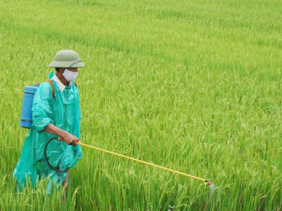 Nông dân gieo xuống đồng ruộng trên 120 nghìn tấn thuốc bảo vệ thực vật và phân hóa học mỗi năm - 1 Nông dân gieo xuống đồng ruộng trên 120 nghìn tấn thuốc bảo vệ thực vật và phân hóa học mỗi năm - 1