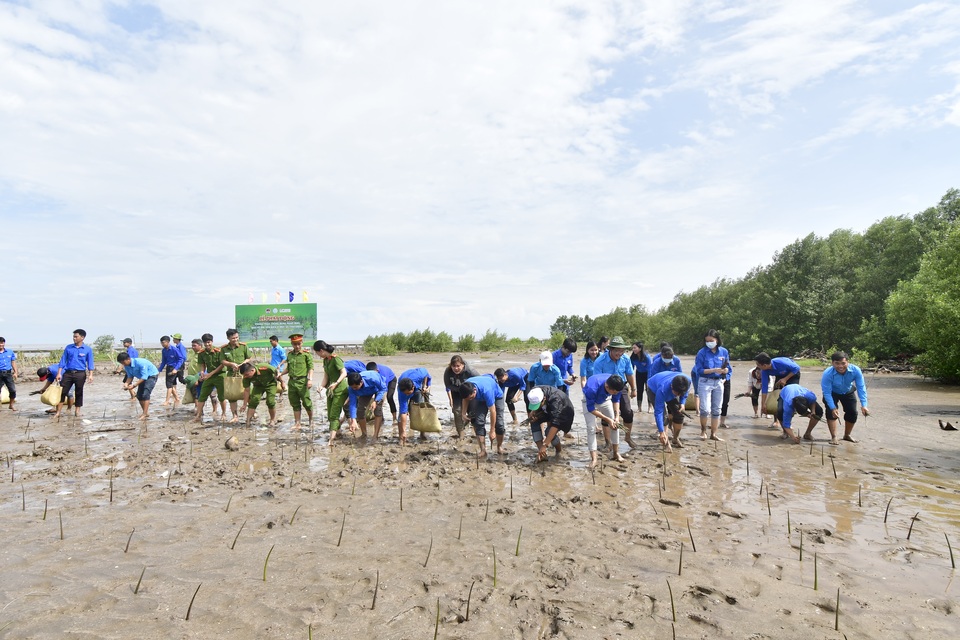 Phát động trồng rừng ngập mặn ở một số tỉnh ĐBSCL - 2 Phát động trồng rừng ngập mặn ở một số tỉnh ĐBSCL - 2