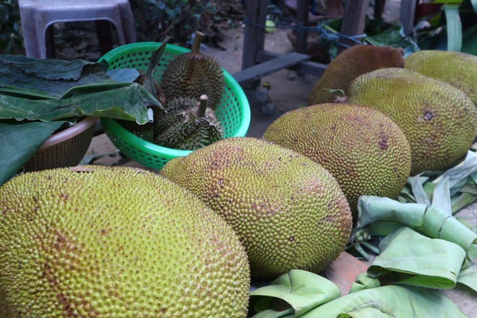 Khám phá làng Đại Bình Khám phá làng Đại Bình