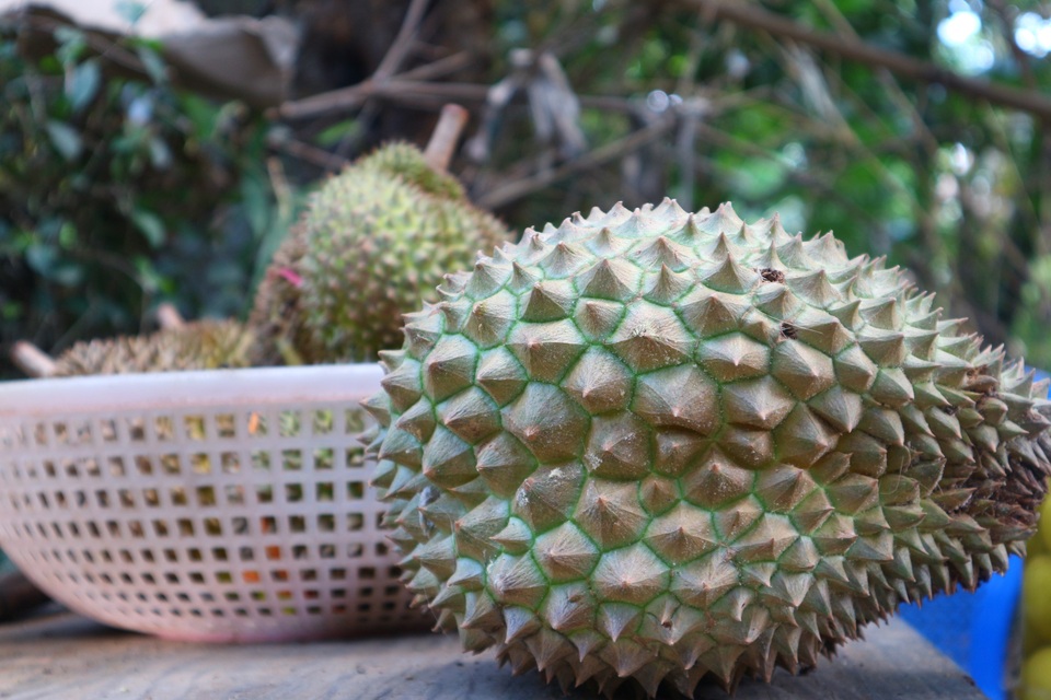 Khám phá làng Đại Bình Khám phá làng Đại Bình