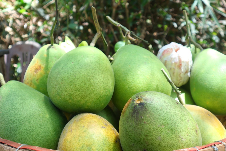 Khám phá làng Đại Bình Khám phá làng Đại Bình