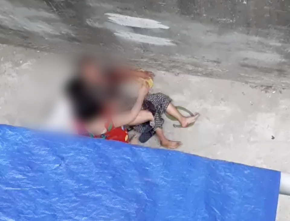 Hà Nội: Cháu gái bất lực nhìn bà ngoại bị chó nhà “nổi điên” lao vào cắn xé - 1 Hà Nội: Cháu gái bất lực nhìn bà ngoại bị chó nhà “nổi điên” lao vào cắn xé - 1