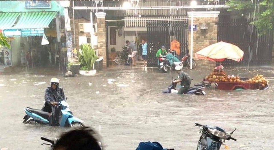 Hoa sữa khử mùi rác Nam Sơn (!?) - 6