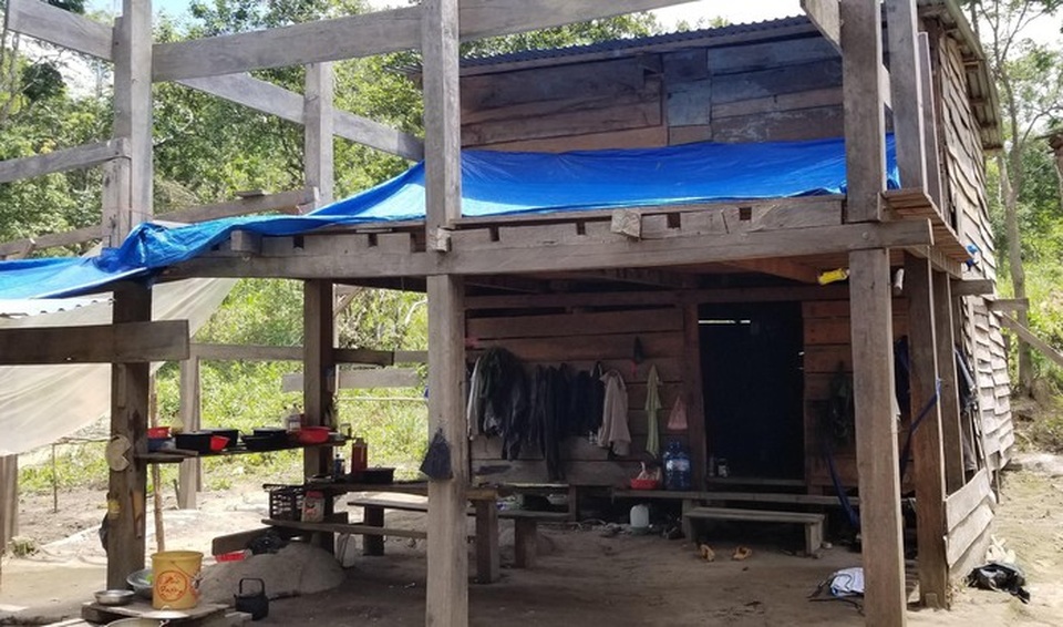 Cận cảnh cánh rừng cổ thụ bị xẻ thịt tan hoang tại Gia Lai! - 4 Cận cảnh cánh rừng cổ thụ bị xẻ thịt tan hoang tại Gia Lai! - 4