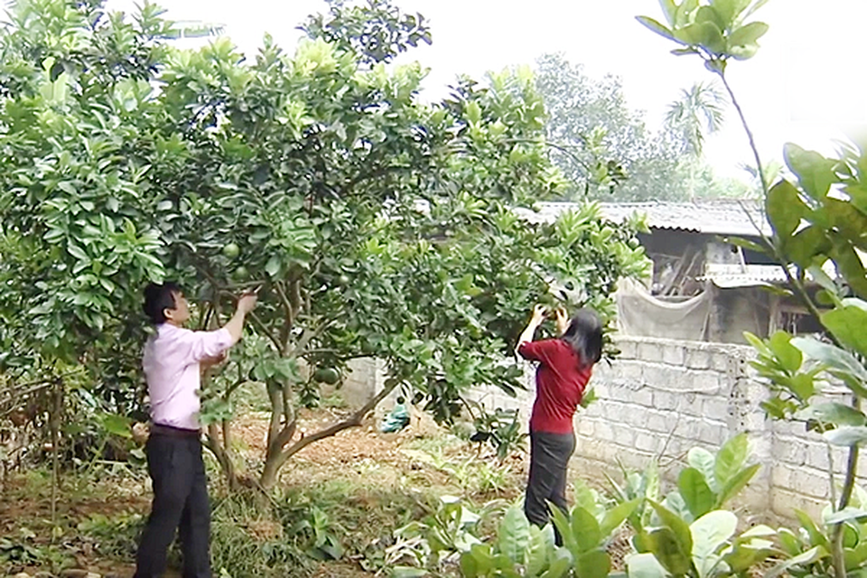 Người phụ nữ chiến thắng tử thần ung thư “Tử cung di căn” một cách ngoạn mục - 3 Người phụ nữ chiến thắng tử thần ung thư “Tử cung di căn” một cách ngoạn mục - 3