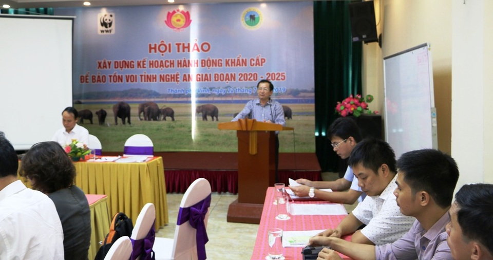 Nghệ An chi gần 19 tỷ đồng bảo tồn khẩn cấp đàn voi - 3 Nghệ An chi gần 19 tỷ đồng bảo tồn khẩn cấp đàn voi - 3