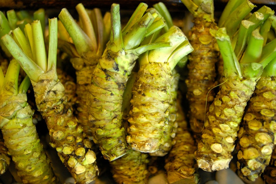 Tại sao Wasabi “thật” lại đắt đỏ và khan hiếm đến như vậy? - 4 Tại sao Wasabi “thật” lại đắt đỏ và khan hiếm đến như vậy? - 4