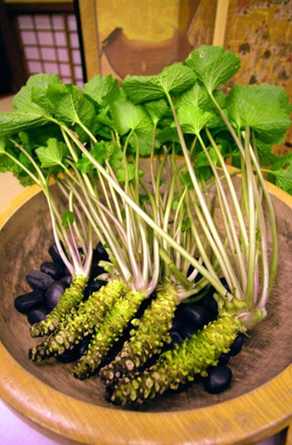 Tại sao Wasabi “thật” lại đắt đỏ và khan hiếm đến như vậy? - 1 Tại sao Wasabi “thật” lại đắt đỏ và khan hiếm đến như vậy? - 1