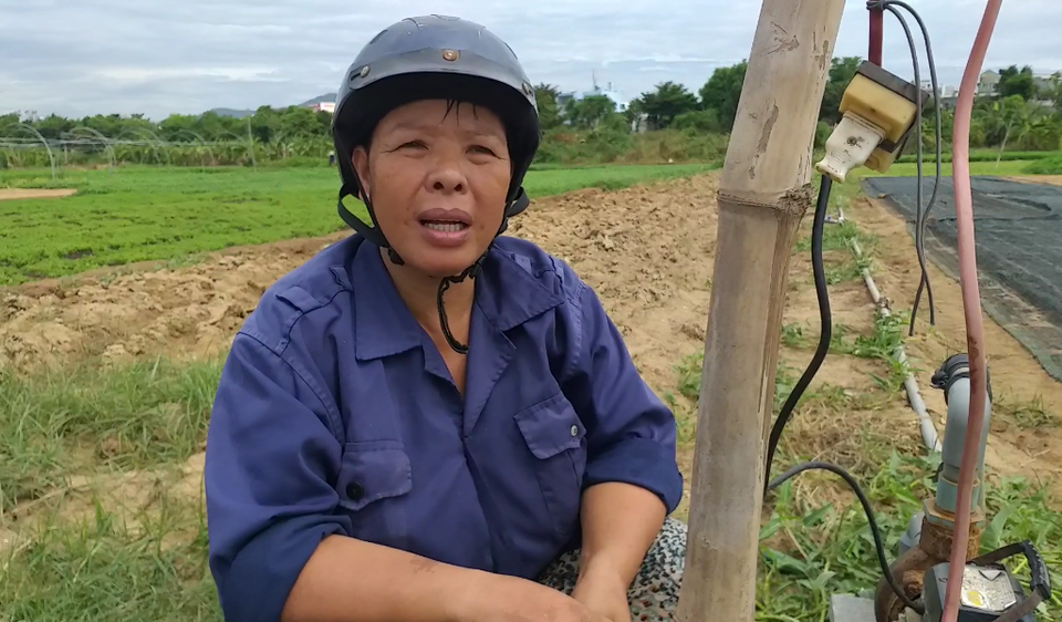 Nông dân điêu đứng vì rau chết khô, đất bỏ hoang - 5 Nông dân điêu đứng vì rau chết khô, đất bỏ hoang - 5