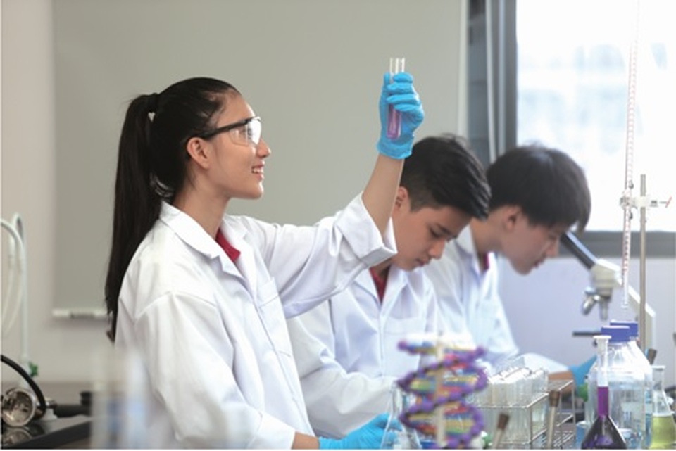 Lợi thế vượt trội của VAS trong việc giảng dạy chương trình Cambridge - 1