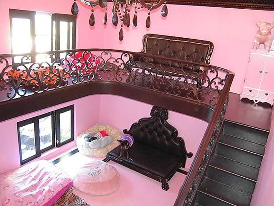 Căn biệt thự sang trọng dành riêng cho ...chó trị giá hơn 7,5 tỷ đồng - 3 Căn biệt thự sang trọng dành riêng cho ...chó trị giá hơn 7,5 tỷ đồng - 3