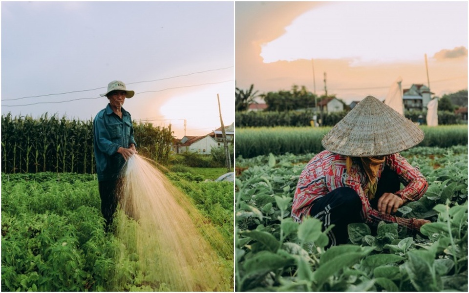 Với 500 nghìn đến 1 triệu đồng, nên chọn ở khách sạn truyền thống hay homestay? - 5 Với 500 nghìn đến 1 triệu đồng, nên chọn ở khách sạn truyền thống hay homestay? - 5