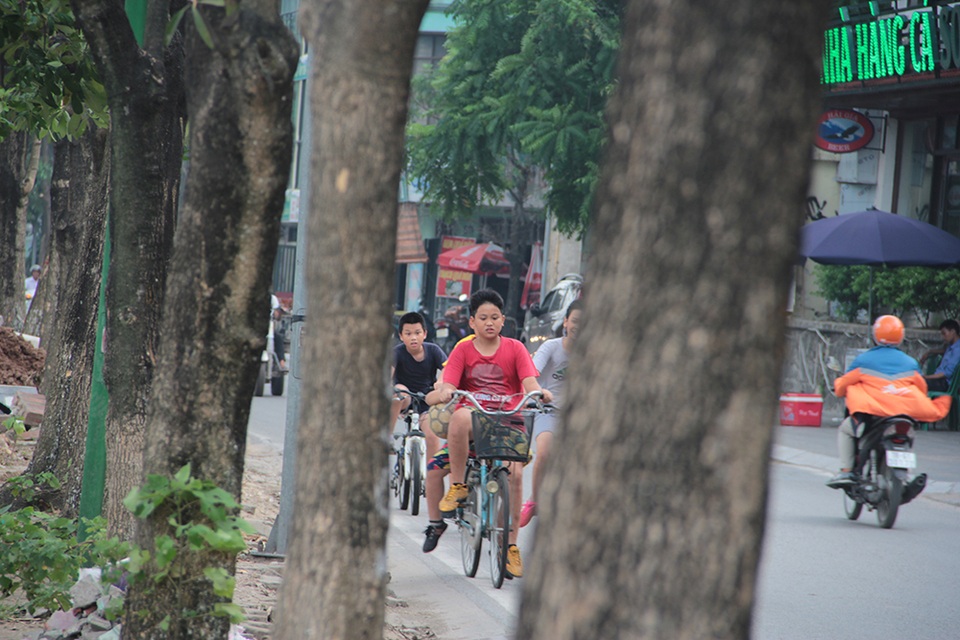 Hà Nội: Hàng cây hoa sữa trên phố Trích Sài bị đánh chuyển - 5 Hà Nội: Hàng cây hoa sữa trên phố Trích Sài bị đánh chuyển - 5