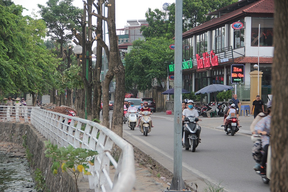 Hà Nội: Hàng cây hoa sữa trên phố Trích Sài bị đánh chuyển - 4 Hà Nội: Hàng cây hoa sữa trên phố Trích Sài bị đánh chuyển - 4