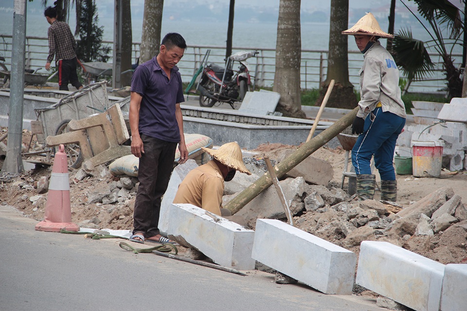 Hà Nội: Hàng cây hoa sữa trên phố Trích Sài bị đánh chuyển - 10 Hà Nội: Hàng cây hoa sữa trên phố Trích Sài bị đánh chuyển - 10