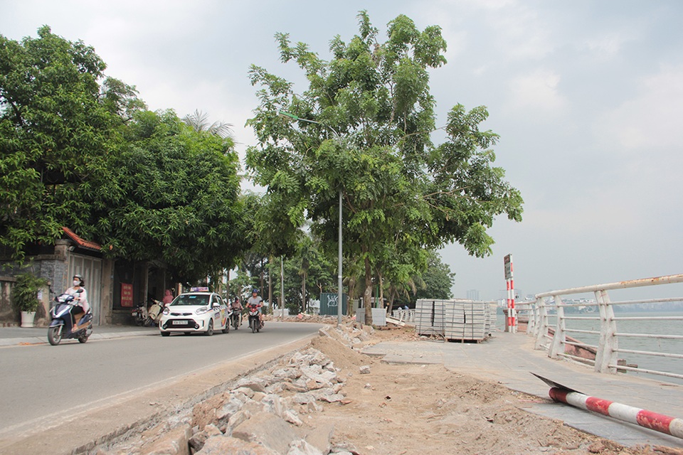 Hà Nội: Hàng cây hoa sữa trên phố Trích Sài bị đánh chuyển - 11 Hà Nội: Hàng cây hoa sữa trên phố Trích Sài bị đánh chuyển - 11