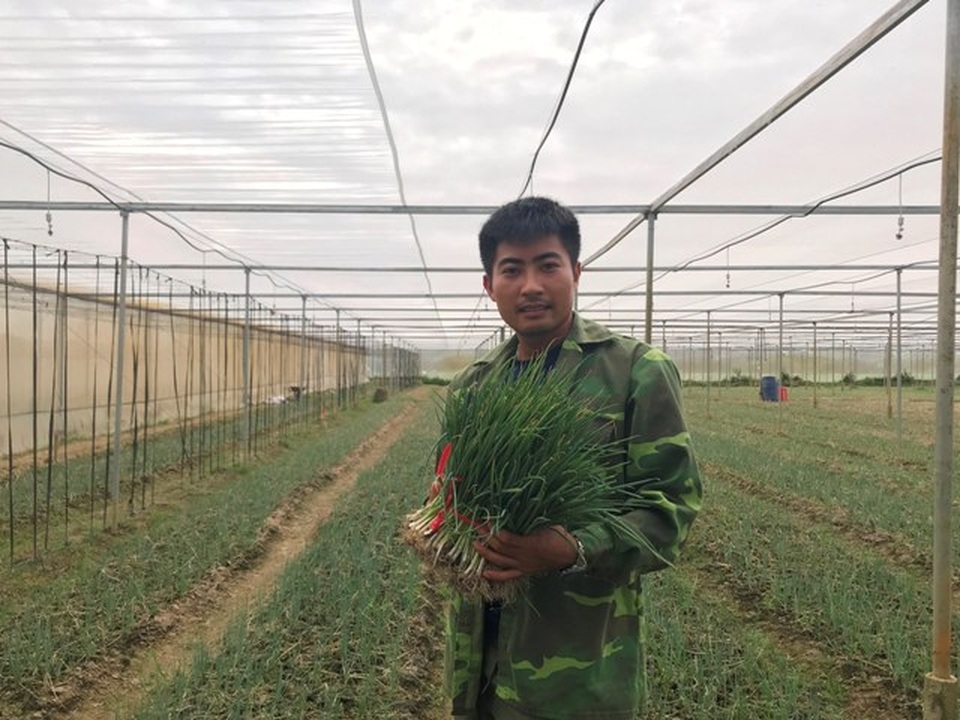 Lãng tử 9X xứ Thanh bỏ lương “khủng” về làng trồng...hành - 3 Lãng tử 9X xứ Thanh bỏ lương “khủng” về làng trồng...hành - 3