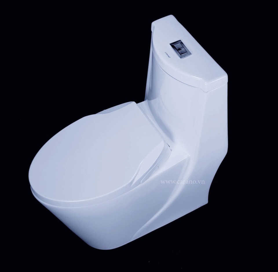 Toilet xả mạnh và tiết kiệm nước đang là xu hướng 2019 - 1