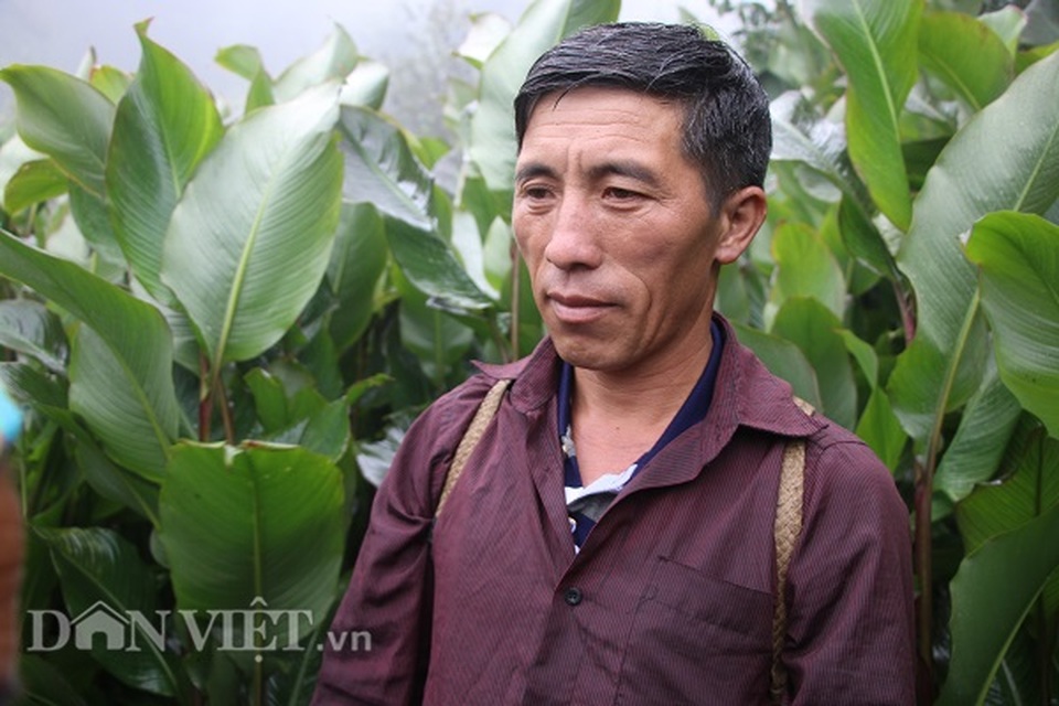 Tỷ phú người Mông làm giàu nhờ giống táo bé tí trên rẻo cao mây mù - 3 Tỷ phú người Mông làm giàu nhờ giống táo bé tí trên rẻo cao mây mù - 3