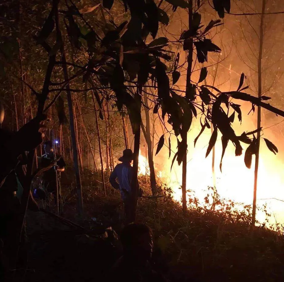 Hàng trăm người tham gia chữa cháy rừng trong đêm - 2 Hàng trăm người tham gia chữa cháy rừng trong đêm - 2