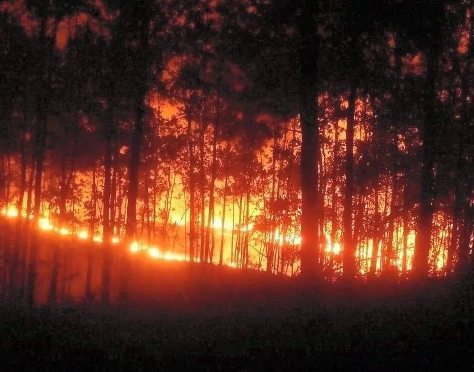 Hàng trăm người tham gia chữa cháy rừng trong đêm - 1 Hàng trăm người tham gia chữa cháy rừng trong đêm - 1