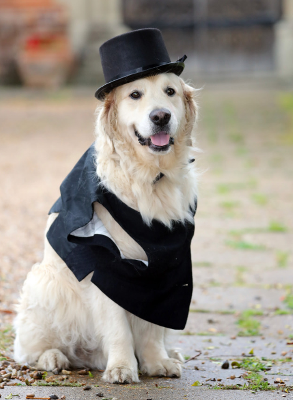 Cựu mẫu sexy hò hẹn 220 lần đều thất bại - 2 Cựu mẫu sexy hò hẹn 220 lần đều thất bại - 2