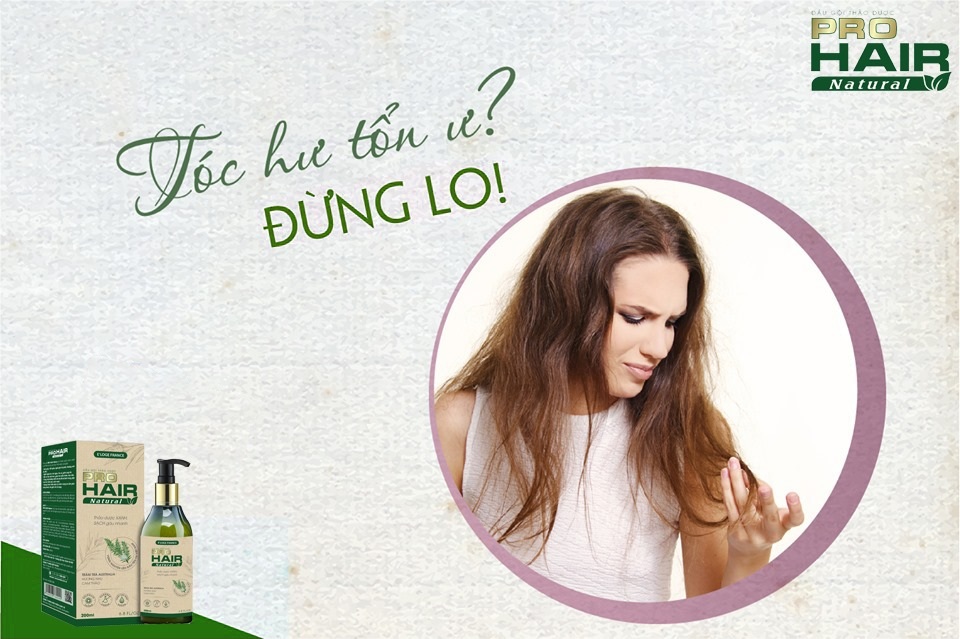 Tại sao bạn nên sử dụng dầu gội thảo dược cho tóc xơ, hư tổn, chẻ ngọn, rụng tóc? - 1 Tại sao bạn nên sử dụng dầu gội thảo dược cho tóc xơ, hư tổn, chẻ ngọn, rụng tóc? - 1