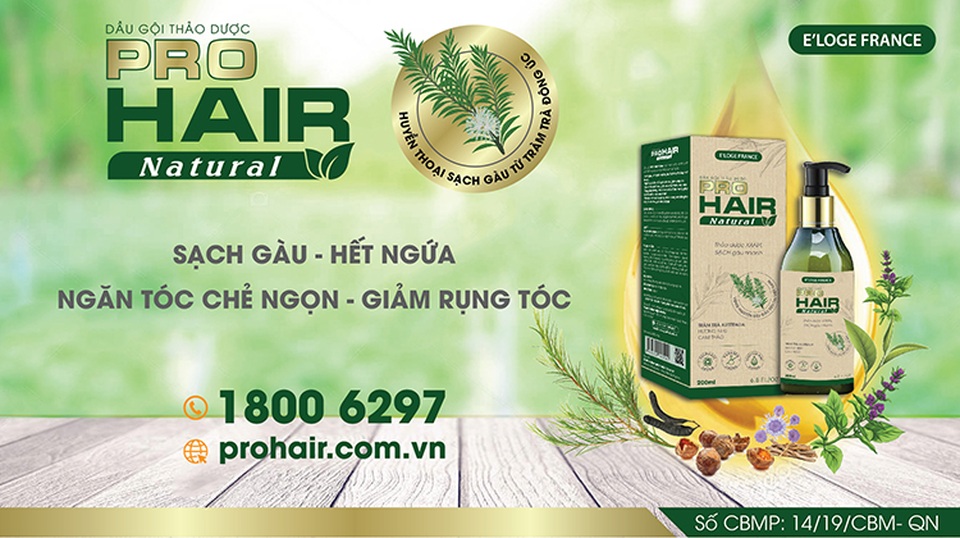 Tại sao bạn nên sử dụng dầu gội thảo dược cho tóc xơ, hư tổn, chẻ ngọn, rụng tóc? - 2 Tại sao bạn nên sử dụng dầu gội thảo dược cho tóc xơ, hư tổn, chẻ ngọn, rụng tóc? - 2