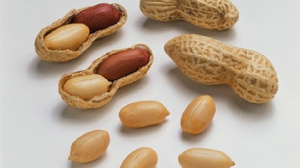 Những lợi ích bất ngờ từ quả trường sinh - 1 Những lợi ích bất ngờ từ quả trường sinh - 1