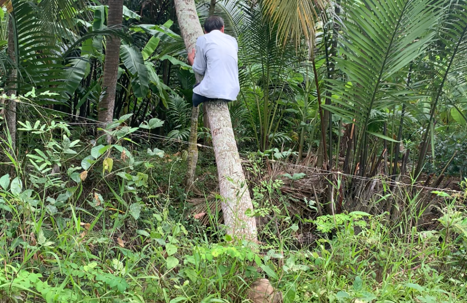 Thương binh cụt hai chân vẫn thoăn thoắt trèo dừa, bơi sông - 5 Thương binh cụt hai chân vẫn thoăn thoắt trèo dừa, bơi sông - 5